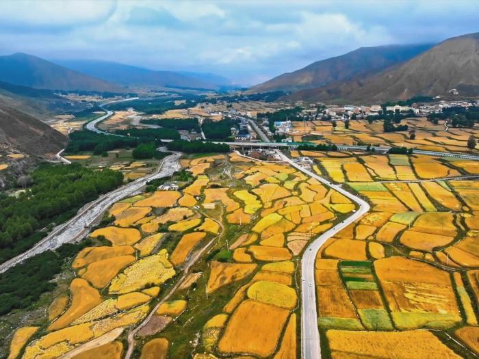 立秋时节高原青海“丰景”初现