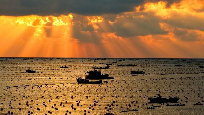 山东荣成：养殖工人披朝霞耕海牧渔