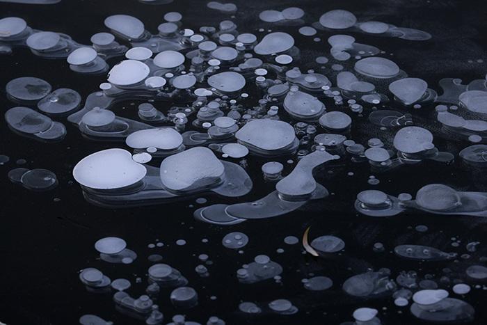 哈尔滨：松花江冻出晶莹“冰泡泡”