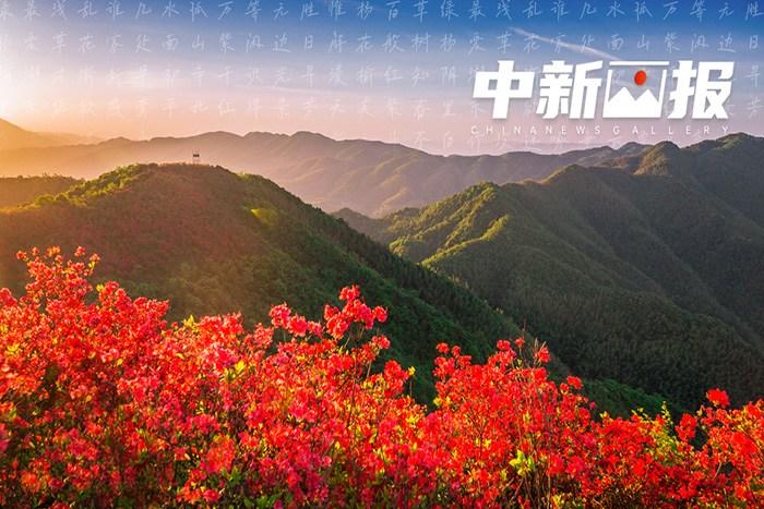 有一种春叫“万紫千红”