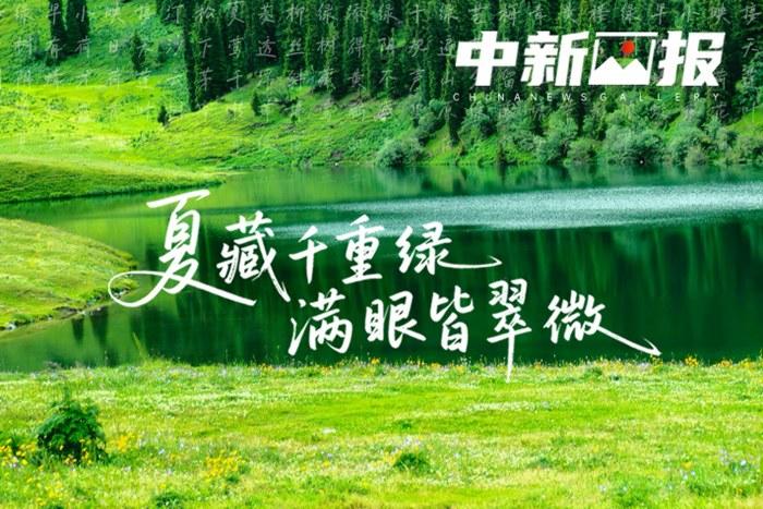 【诗画中国】夏藏千重绿 满眼皆翠微