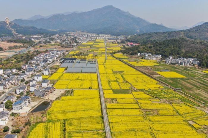 航拍江西庐山脚下金色油菜花开美如画