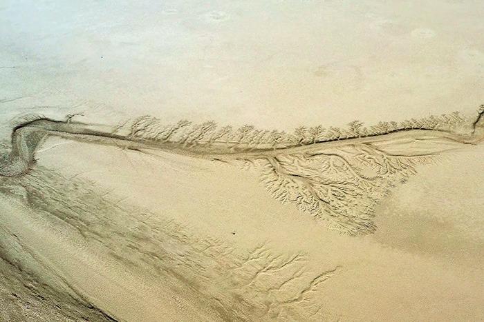 内蒙古戈壁上现浮雕版“胡杨树”