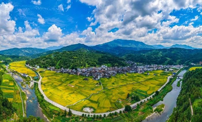 广西龙胜：秋染侗乡 景致如画